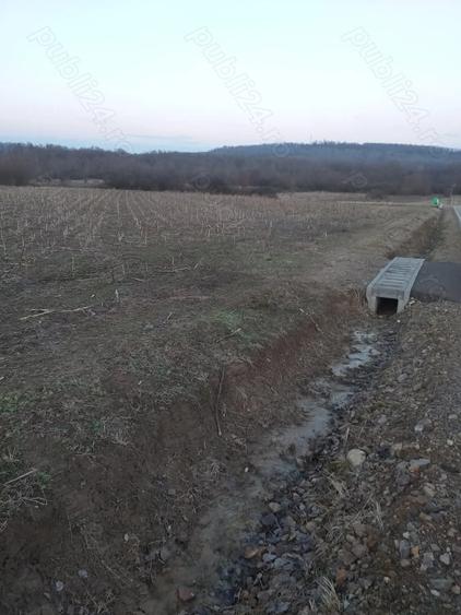 Teren de 800 mp, în Fârdea