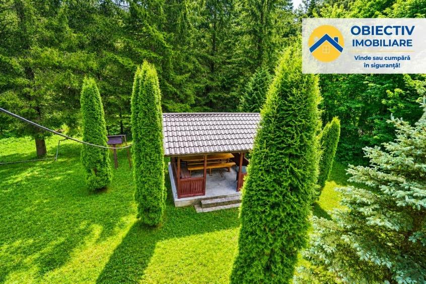🏡 Cabană de Vânzare în Tarcău – Natură, Relaxare și Pescuit la Poartă! 🎣🌲 - 9