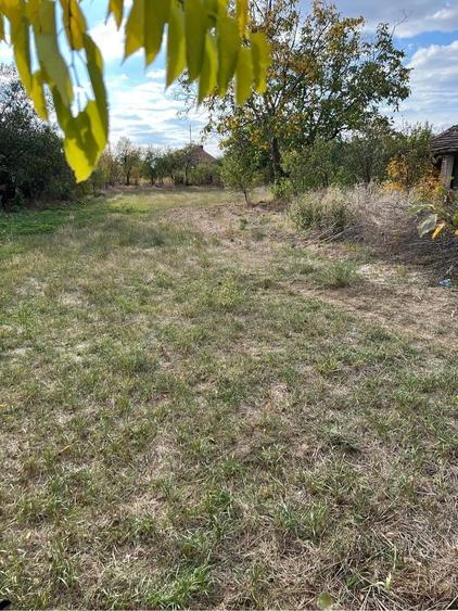 Casă cu Teren 800 Mp în Hodoni