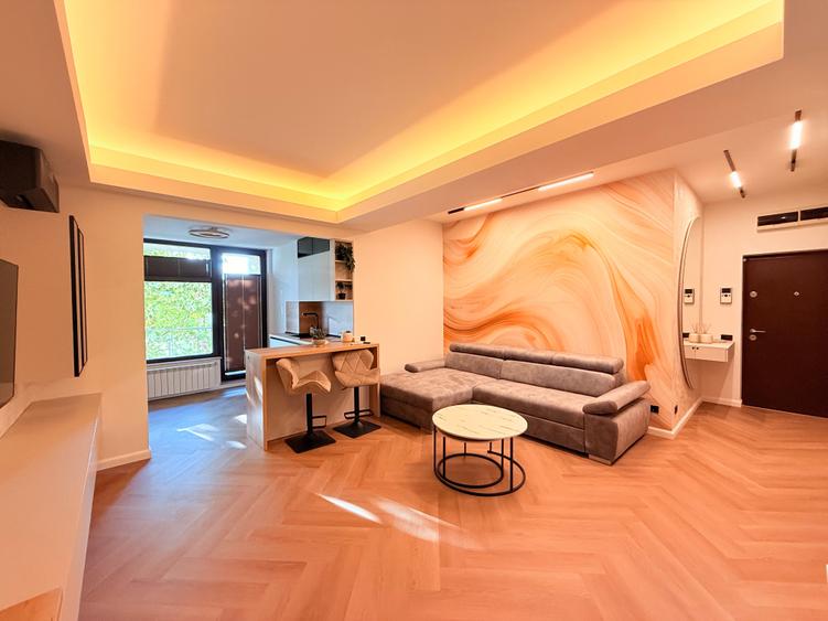 Studio premium | North Area Lake View | Herastrau - 3