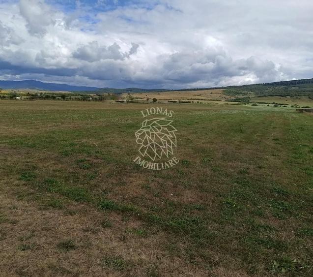 Teren Construcții intravilan de 5217 mp, în Livezile