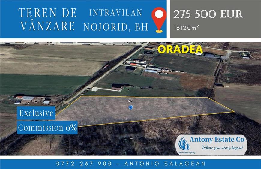 Teren Construcții intravilan de 13120 mp, în Nojorid