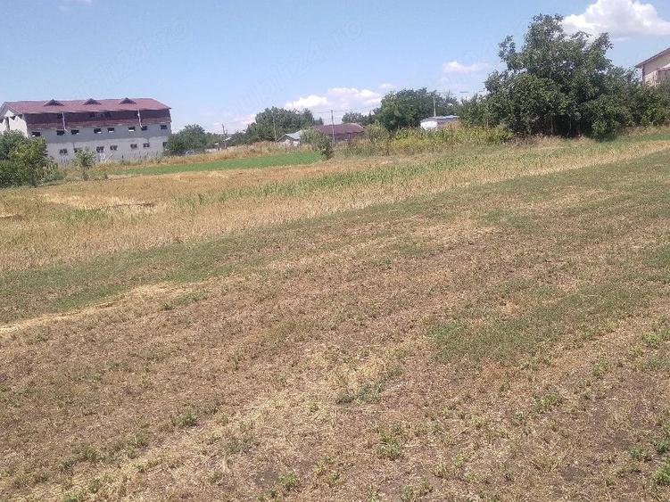 Teren de 2350 mp, în Frătești
