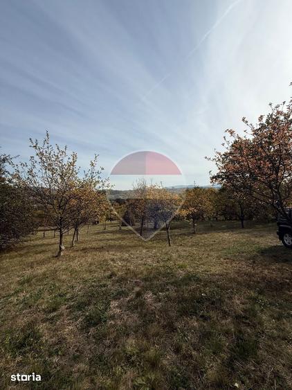 Teren de 13340 mp, în Bârsana