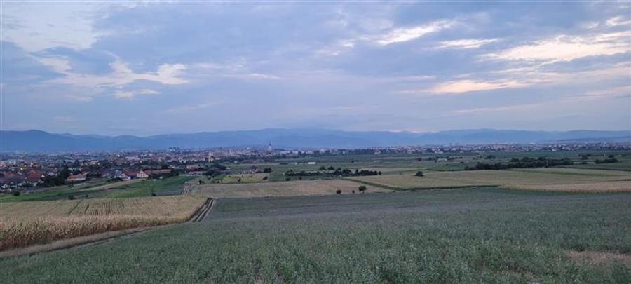 Teren agricol extravilan de 4000 mp, în Gușterița