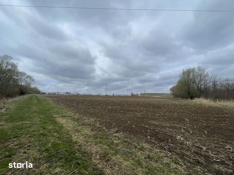 TEREN INTRAVILAN | 50 ARI | ZONA PERIFERICA RADAUTI - 6