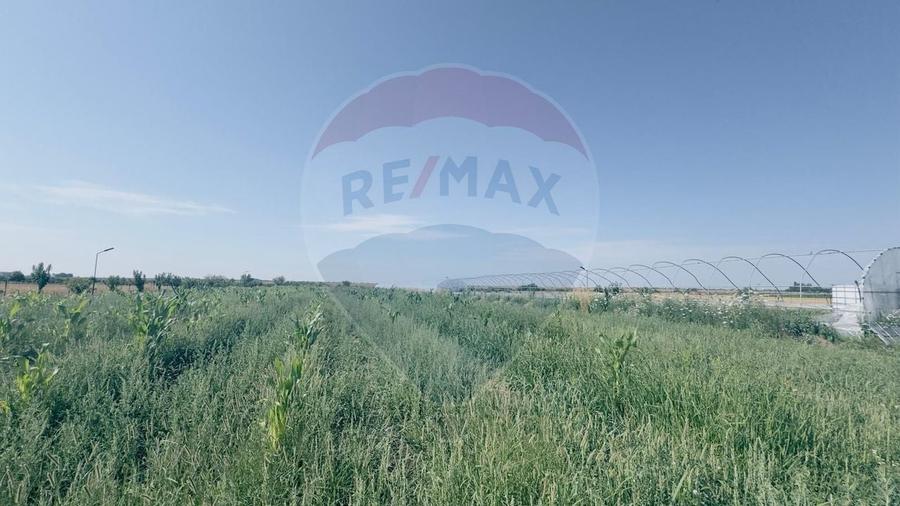 Teren agricol extravilan de 16750 mp, în Cârcea