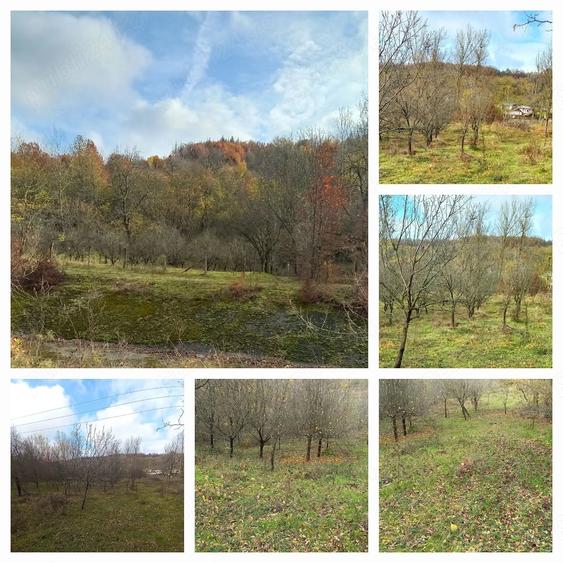 Teren de 6000 mp, în Stoilești