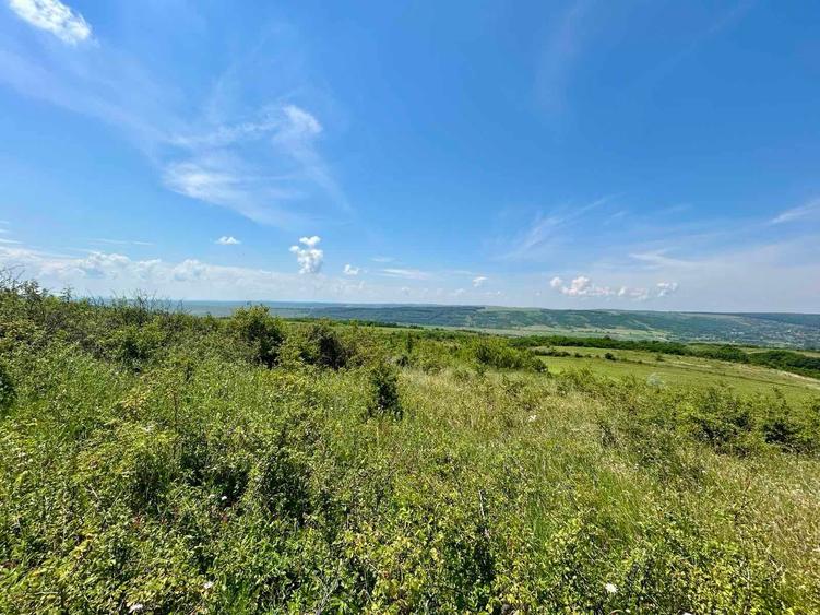 Teren extravilan de 3600 mp, în Central