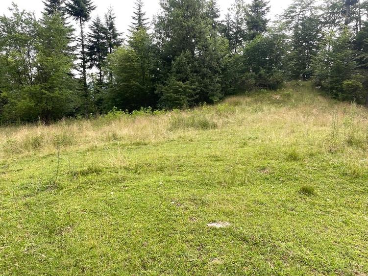 Teren Construcții intravilan de 12750 mp, în Pârâul Rece