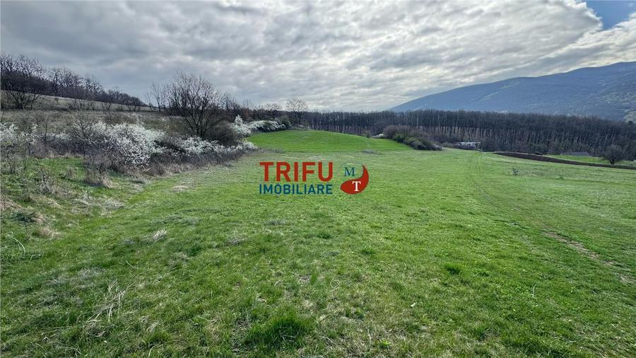 Teren Construcții intravilan de 1632 mp, în Ampoița