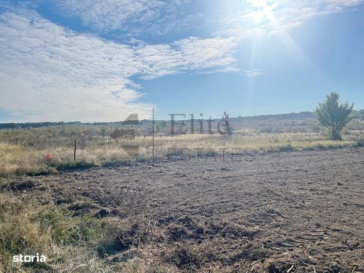 Teren intravilan de vanzare in Cihei - 2