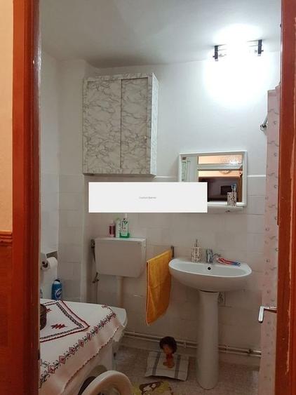 Teren Construcții intravilan de 12000 mp, în Cărămidari