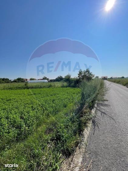 Teren de 1270 mp, în Central