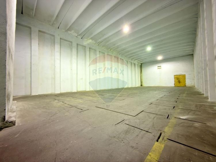 Spațiu industrial, de 6,132 mp, în Aradul Nou
