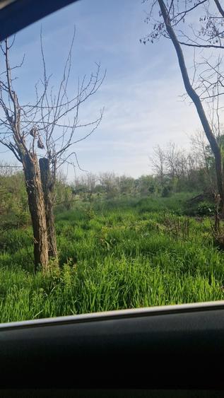 Spațiu comercial, în Valter Mărăcineanu