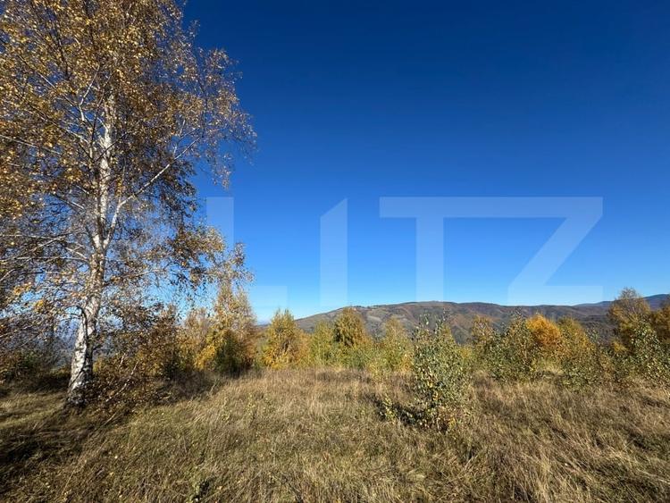 Teren agricol extravilan de 17183 mp, în Orăștie