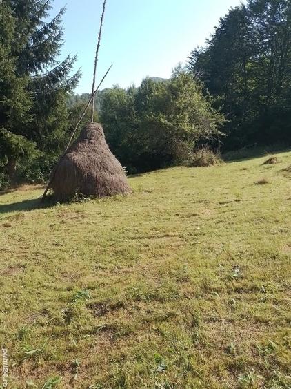 Teren de 10000 mp, în Avram Iancu
