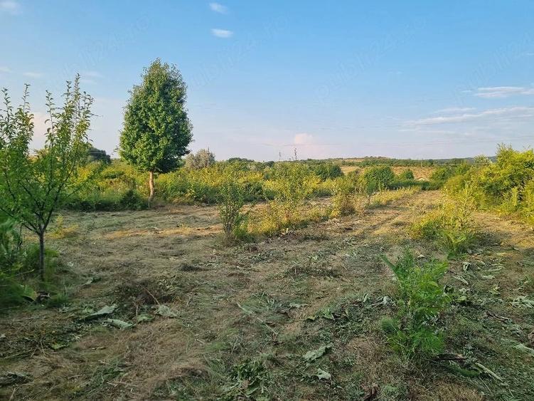 Teren de 4000 mp, în Curături