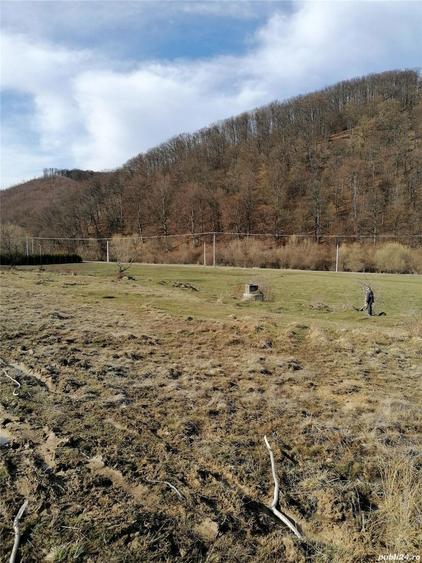 Teren de 3800 mp, în Crizbav