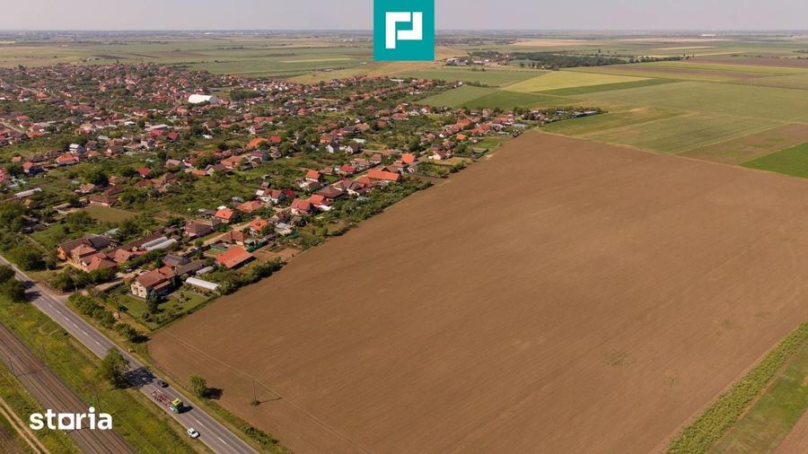 Teren de 28500 mp, în Șofronea