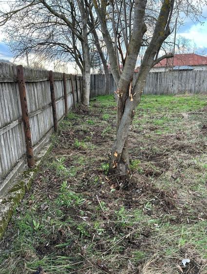 Teren intravilan, 1570 mp in sat Magura (Hulubesti), Dambovita, deschidere 31ml - 8