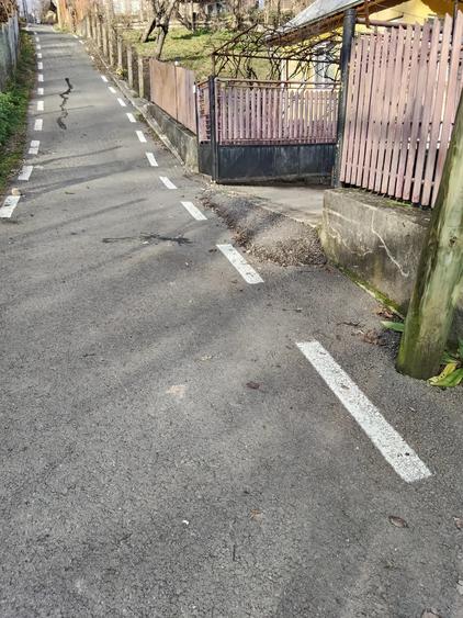 Casa batraneasca de vanzare - 3