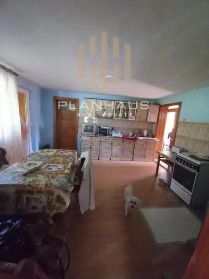 Casa Rohia ,ideala locuit sau pensiune ,zona turistica,45 ari - 6