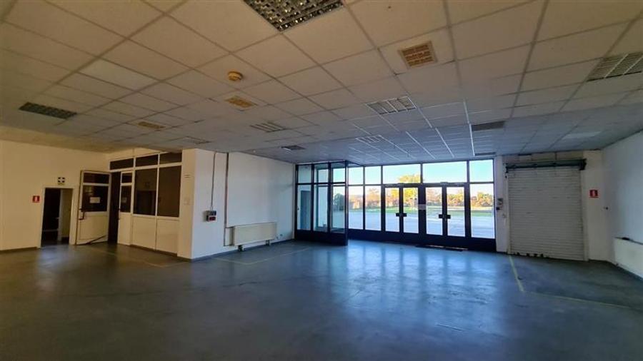 Spatiu show room, 1500 mp , parcare , Calea Lugojului - 6