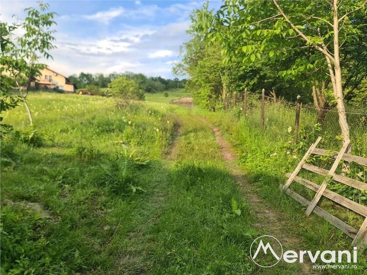 Teren intravilan de vanzare in Campina - Zona Muscel - 4