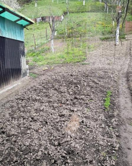 Vand casa la Nadrag zona linistita foarte aproape de centru - 16