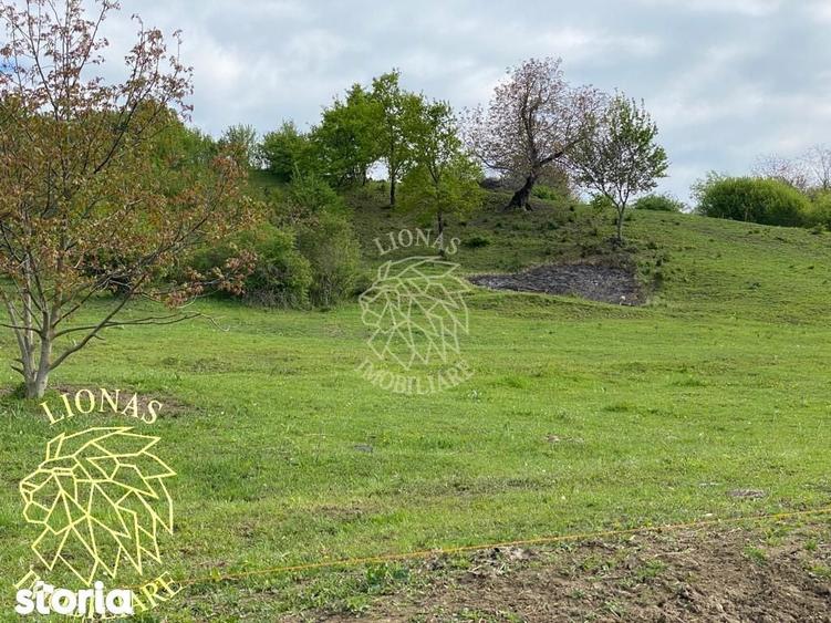 Teren 5000 mp-ideal investitie-Ghinda - 5