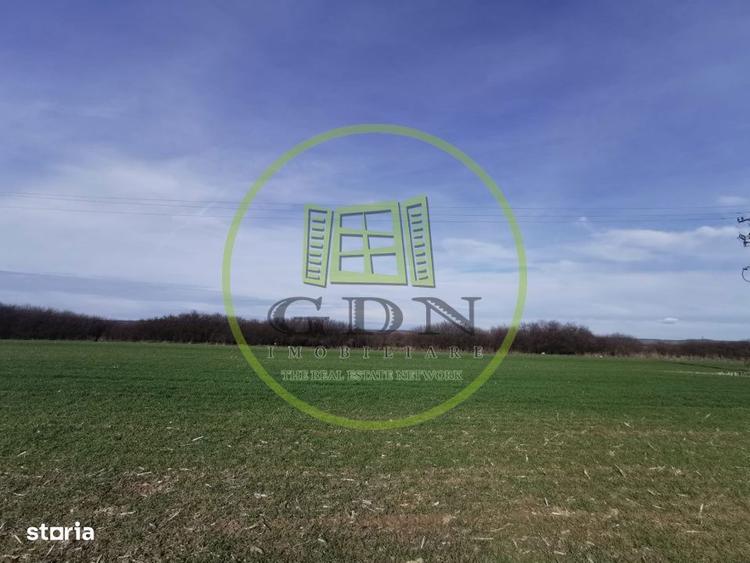 Teren extravilan de vanzare in Sacadat, 21.496 mp, cu deschidere de 42 - 3