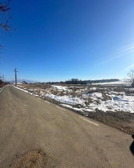 OPORTUNITATE pt Dezvoltatori de case zona Penitenciar ! - 7