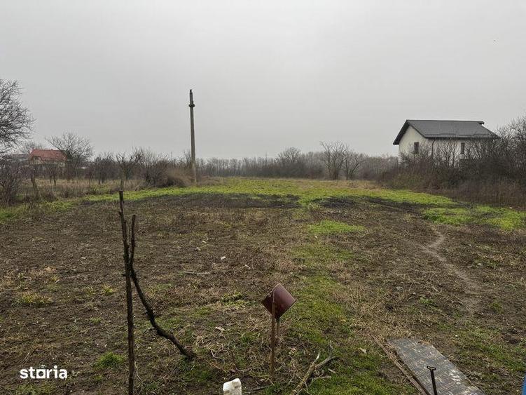 Casa cu teren 4850 mp Sabareni - 2