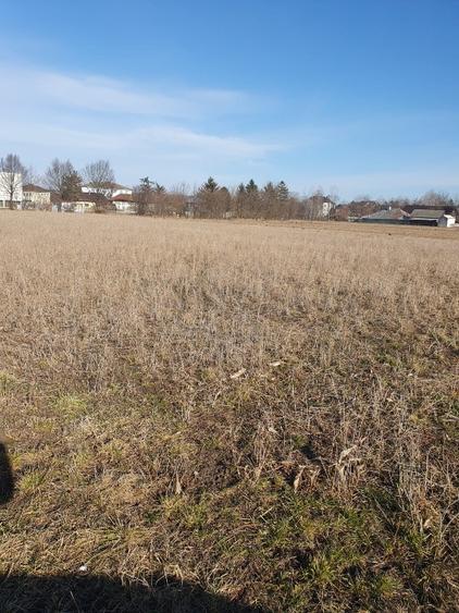 Teren intravilan Com Zvoristea / Suceava - 3500 mp  - 2