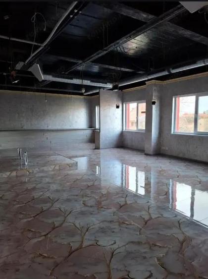 Elisabetin- Spatiu Birouri- 220 mp- Clasa A - 2