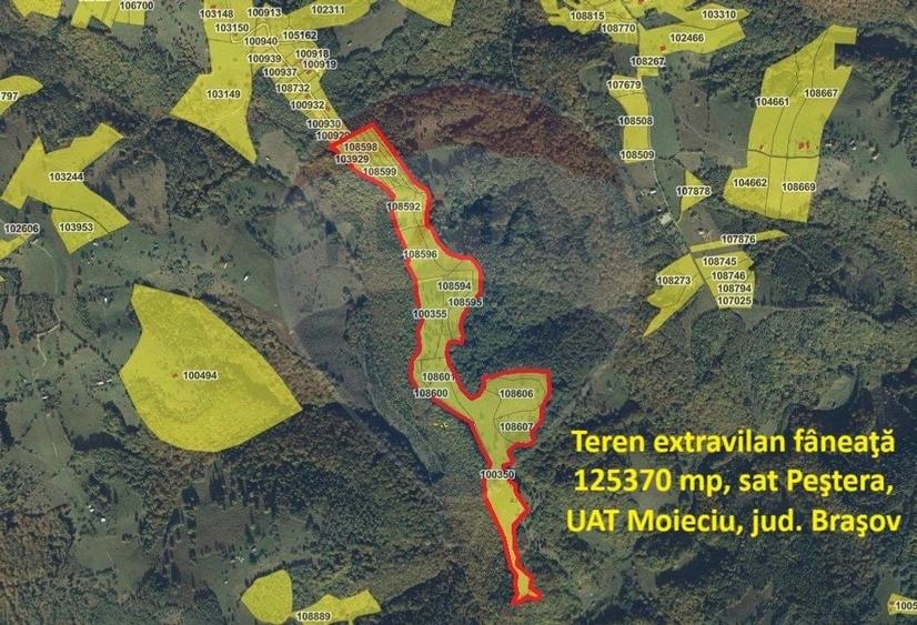 Oportunitate de investiție ! Teren de vis în Pestera - 125.370 mp - 3