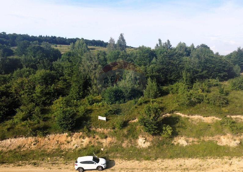 Teren de vanzare in Salicea, 10000 MP , Zona Moara de vant! - 2