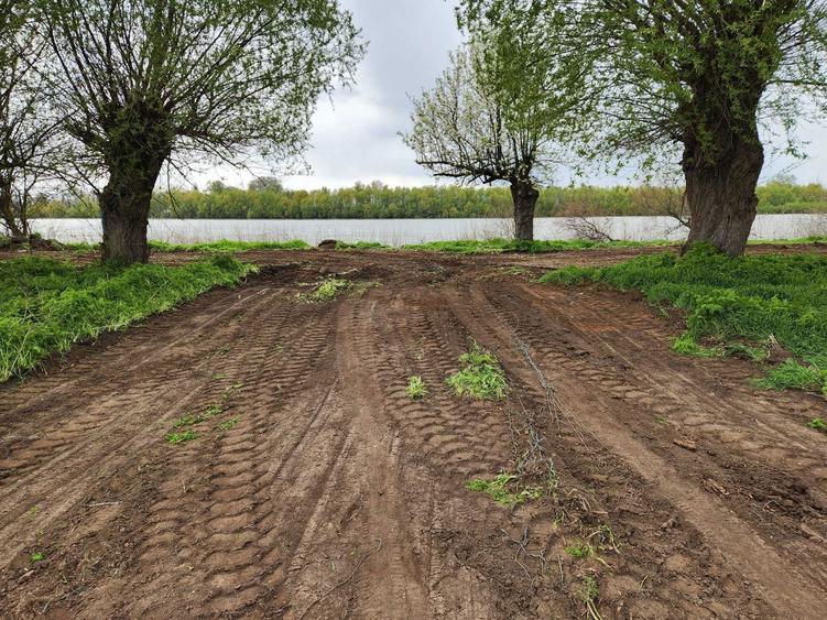 Teren Delta Dunarii 1.000 mp - Teren Pardina (Bratul Chilia) - 1