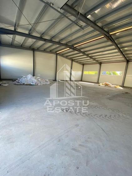 Hala noua de inchiriat 550 mp, birouri, parcare, Sacalaz. - 5