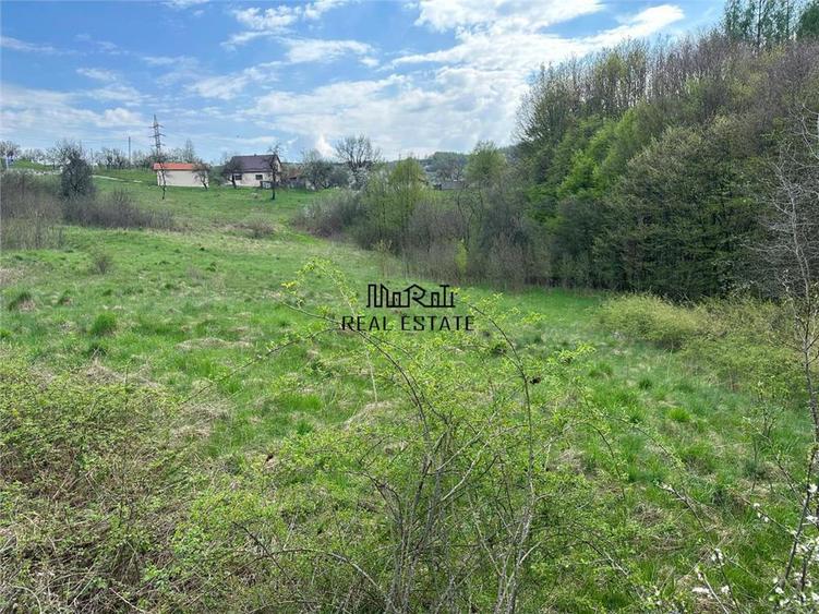 Terenuri extravilane in Luncoiu de Sus, Hunedoara - 7
