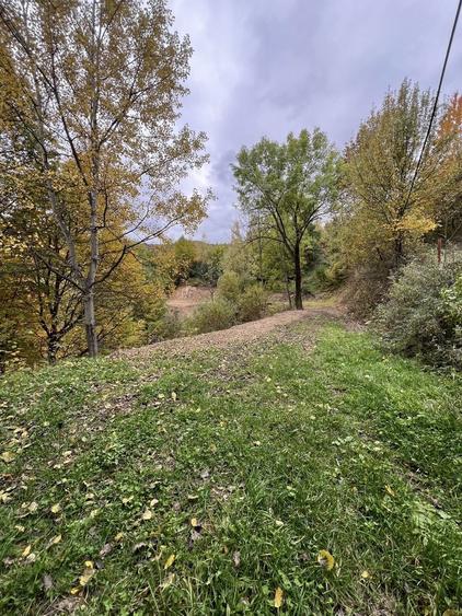 Teren de vanzare-Muntele Rece - 5