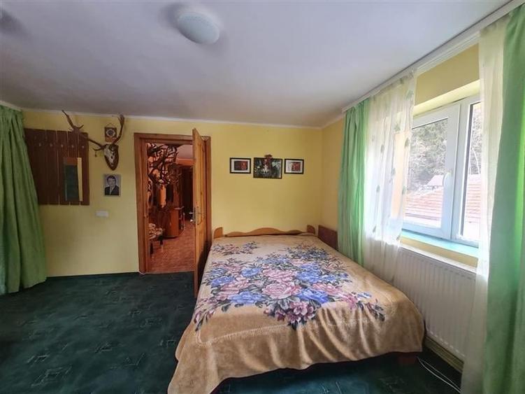 Incadrata de 4.200mp teren, Vila cu potential turistic, in inima Predealului - 31