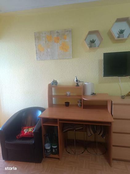 Garsoniera Laminorului - proprietar - 6
