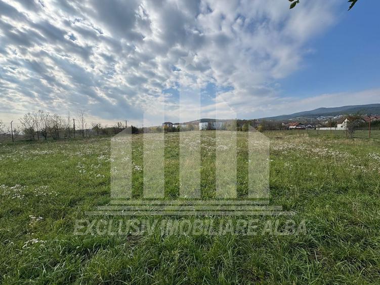 Teren intravilan | De vanzare | 5841 mp | 38 ml deschidere | Cetate - 4