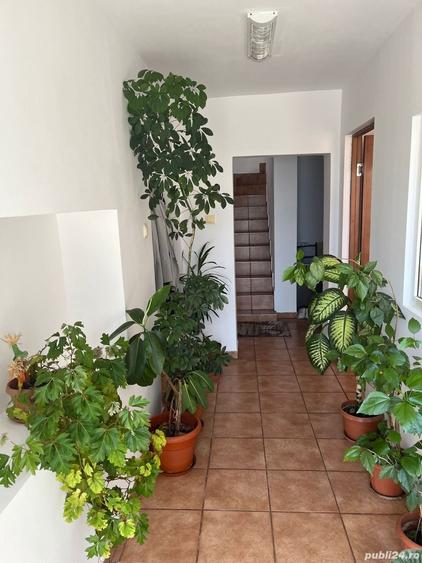 Casă cu 5 camere în Caransebeș