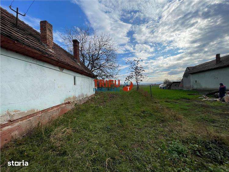 Teren intravilan pentru casa in Sard - 2