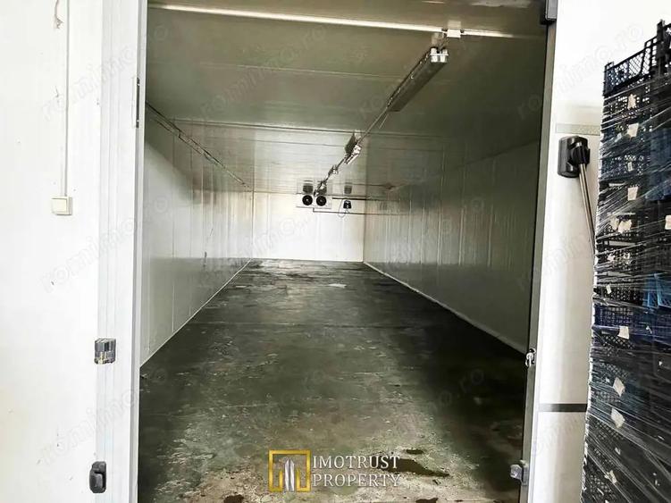 Hala industriala de inchiriat 760 mp, Arad (Gradiste/Sere) - 1