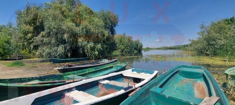 ID 6514 Teren cu casa in Sat Parche? - 1